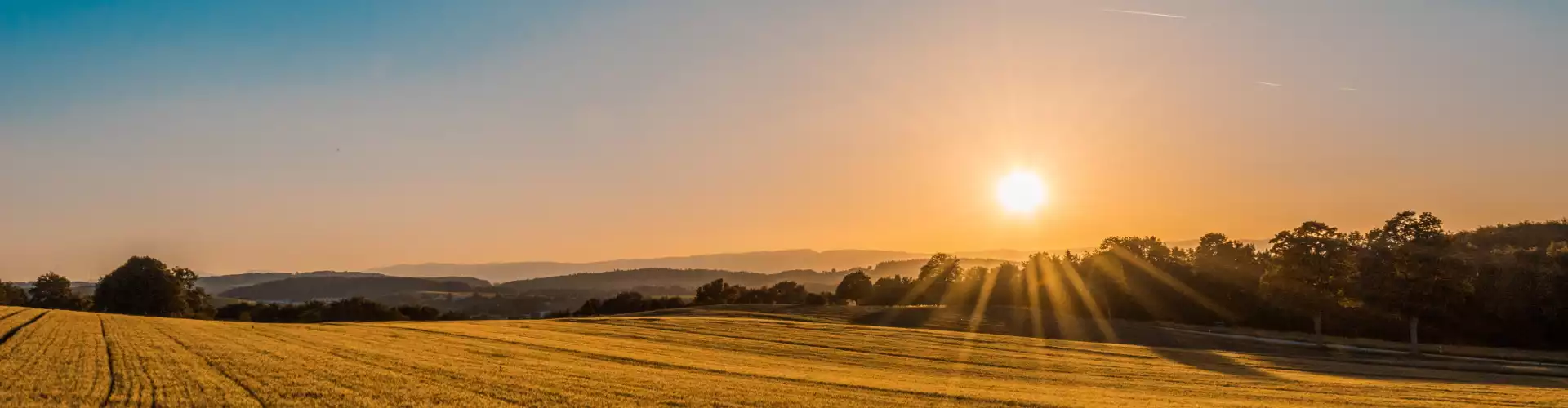 Bundle: 7 Chakra Morning Sun Salutations - Online Course by Learn It Live